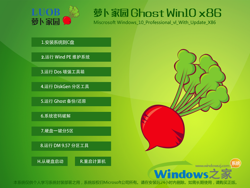 萝卜家园Windows10系统专业版下载32位 v1904