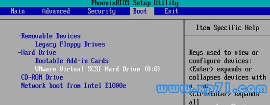 VMware Player F2进入BIOS看到的Boot设置Win8e