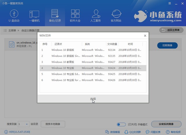 小鱼自定义_0013_选择win10专业版.jpg