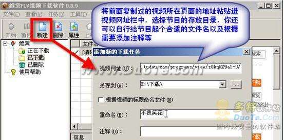 把网络视频搬回家,维棠FLV下载